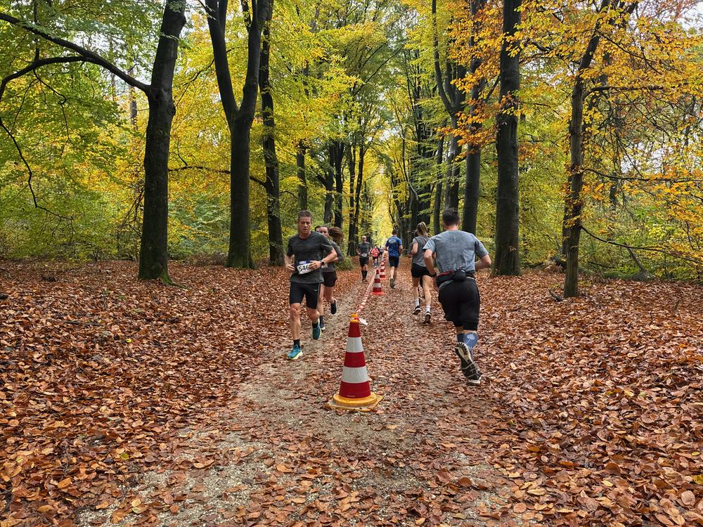 Pedaleurs-Bosloop-Ed.41-2025-EersteZondagVanNOV - 635.jpeg