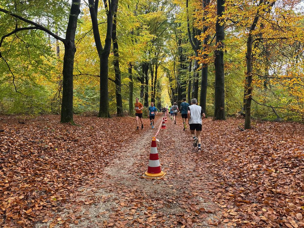 Pedaleurs-Bosloop-Ed.41-2025-EersteZondagVanNOV - 619.jpeg