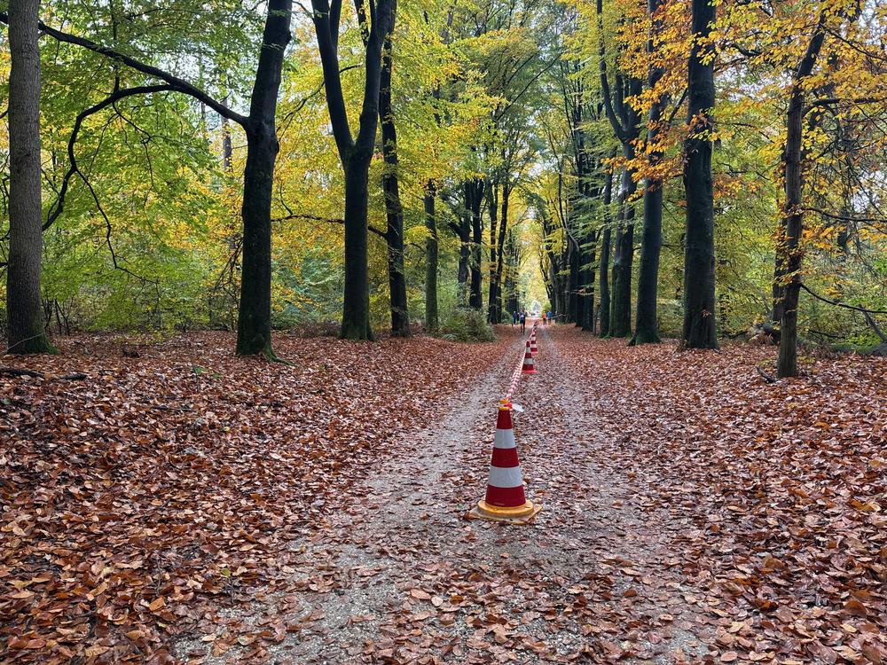 Pedaleurs-Bosloop-Ed.41-2025-EersteZondagVanNOV - 498.jpeg