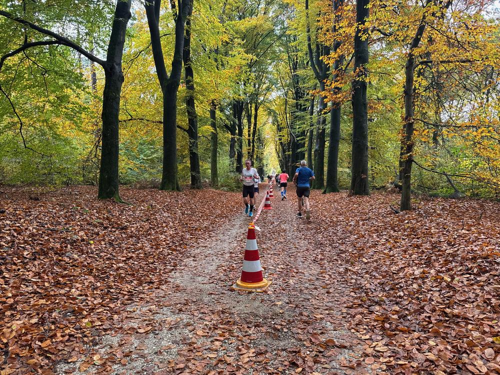 Pedaleurs-Bosloop-Ed.41-2025-EersteZondagVanNOV - 645.jpeg