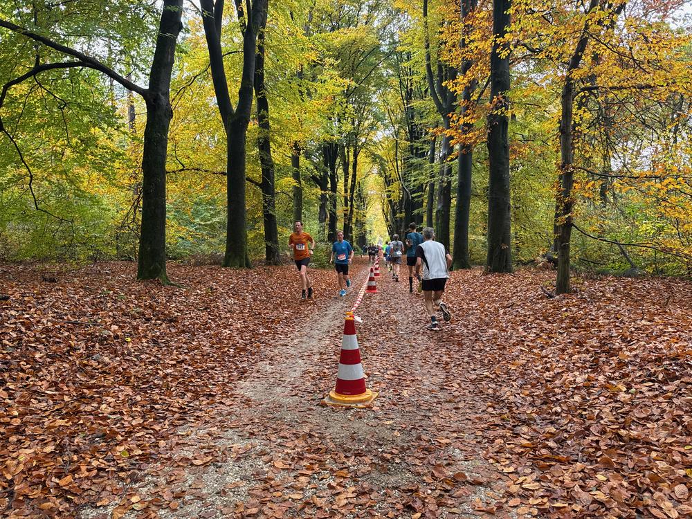 Pedaleurs-Bosloop-Ed.41-2025-EersteZondagVanNOV - 620.jpeg