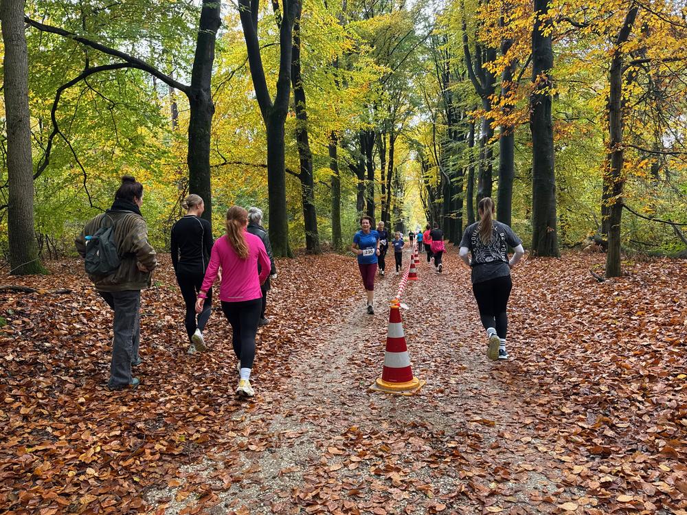 Pedaleurs-Bosloop-Ed.41-2025-EersteZondagVanNOV - 397.jpeg