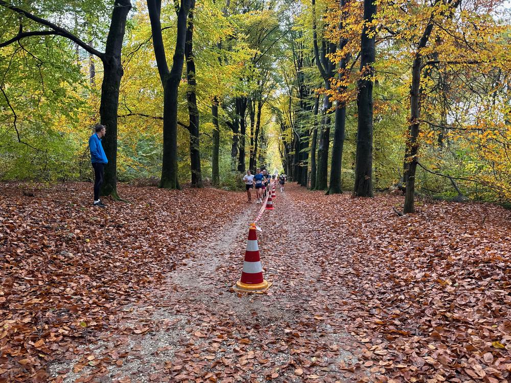 Pedaleurs-Bosloop-Ed.41-2025-EersteZondagVanNOV - 596.jpeg