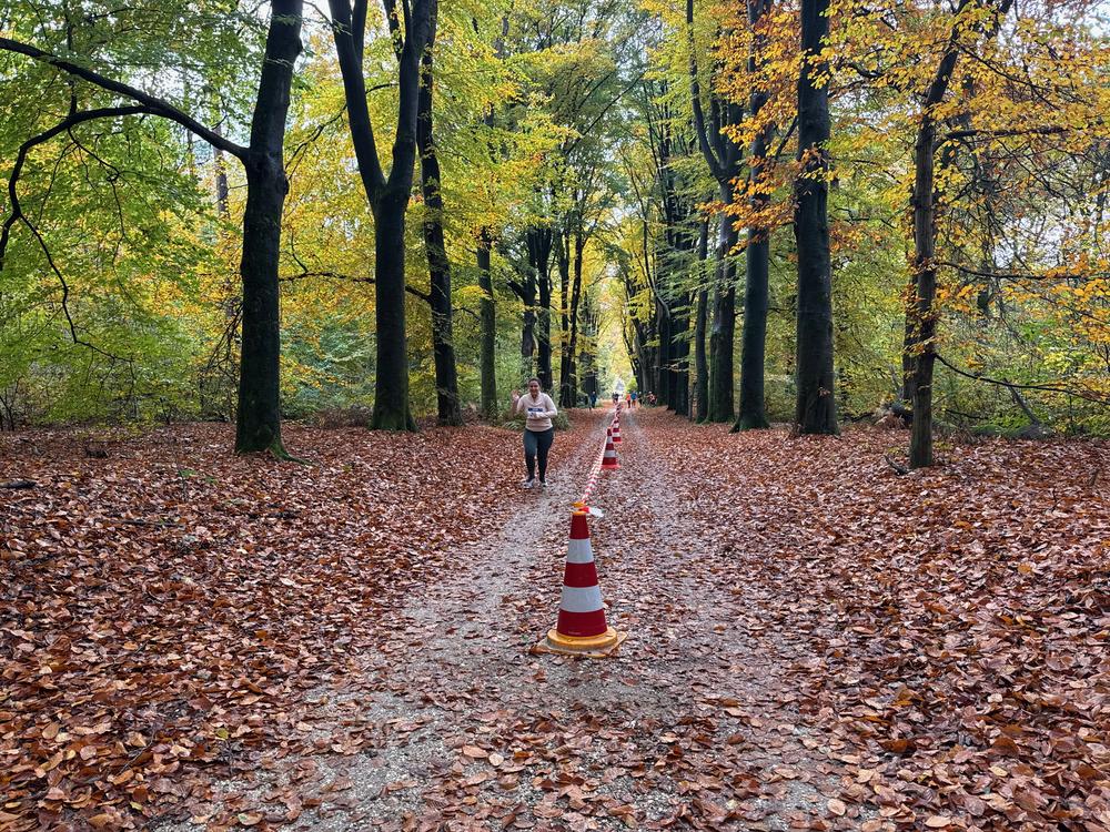 Pedaleurs-Bosloop-Ed.41-2025-EersteZondagVanNOV - 483.jpeg