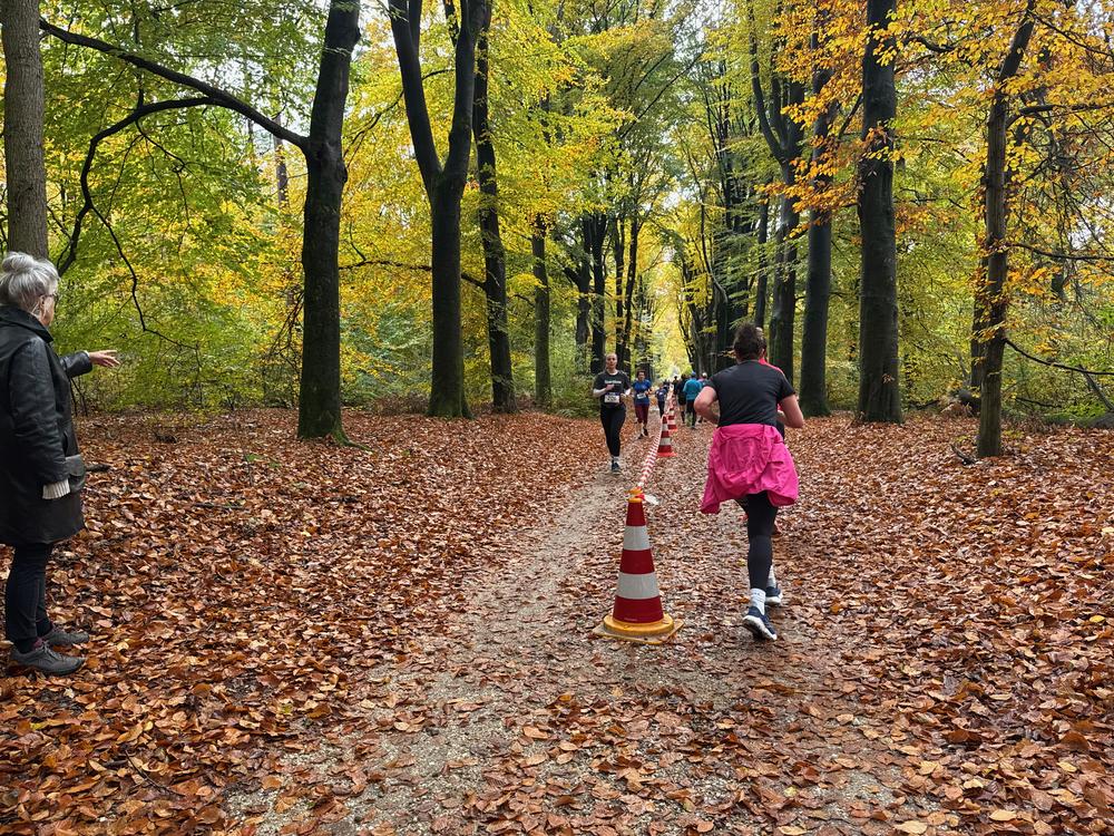 Pedaleurs-Bosloop-Ed.41-2025-EersteZondagVanNOV - 393.jpeg