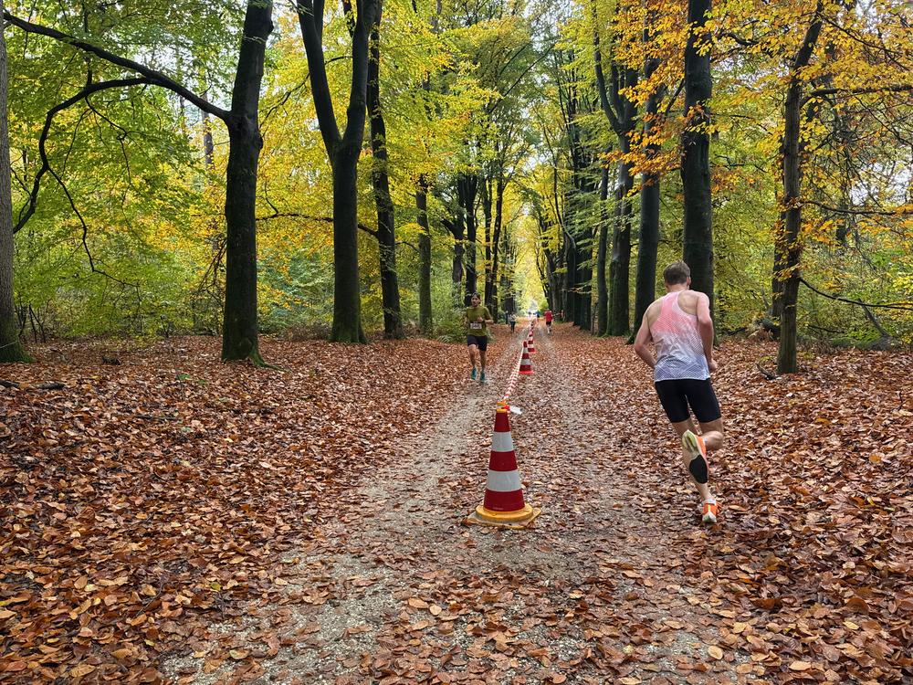 Pedaleurs-Bosloop-Ed.41-2025-EersteZondagVanNOV - 477.jpeg