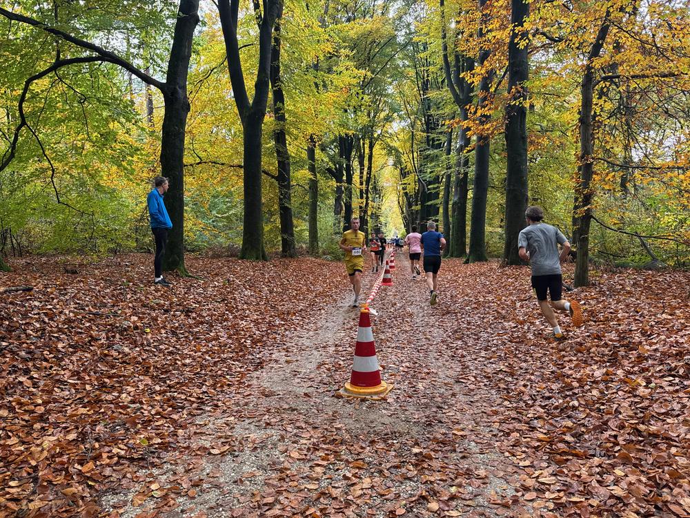 Pedaleurs-Bosloop-Ed.41-2025-EersteZondagVanNOV - 586.jpeg