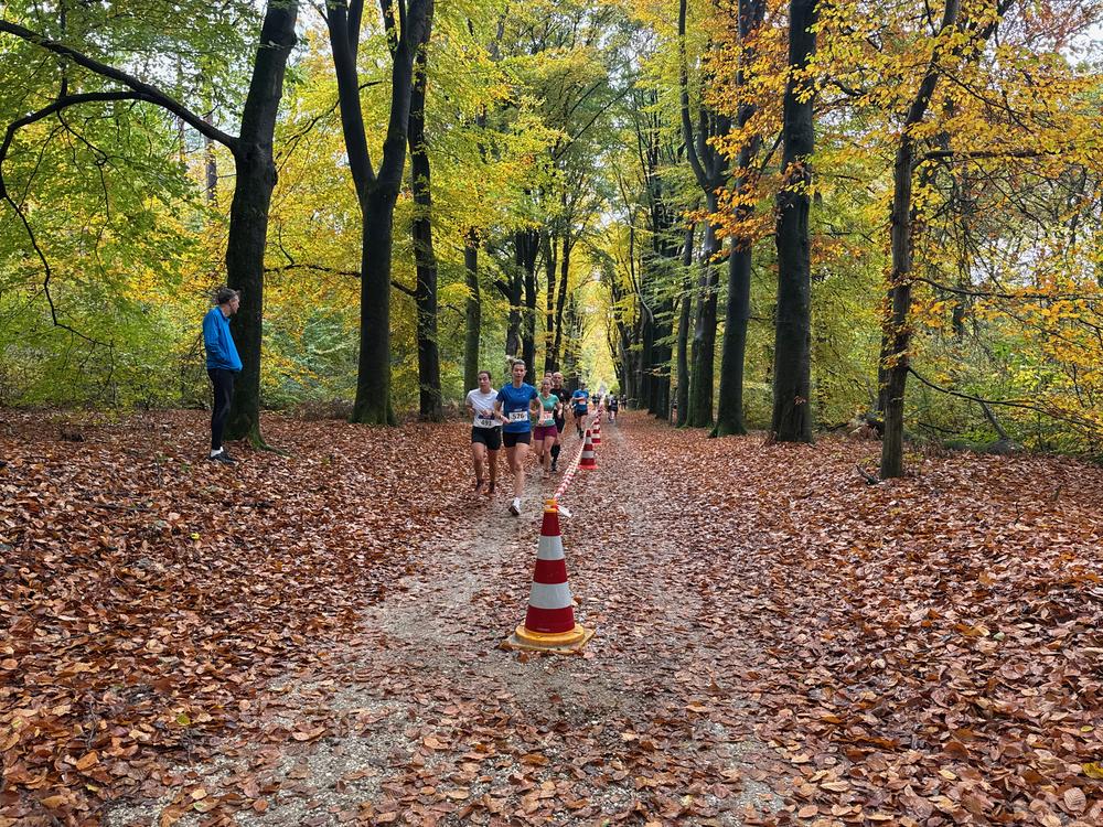 Pedaleurs-Bosloop-Ed.41-2025-EersteZondagVanNOV - 597.jpeg