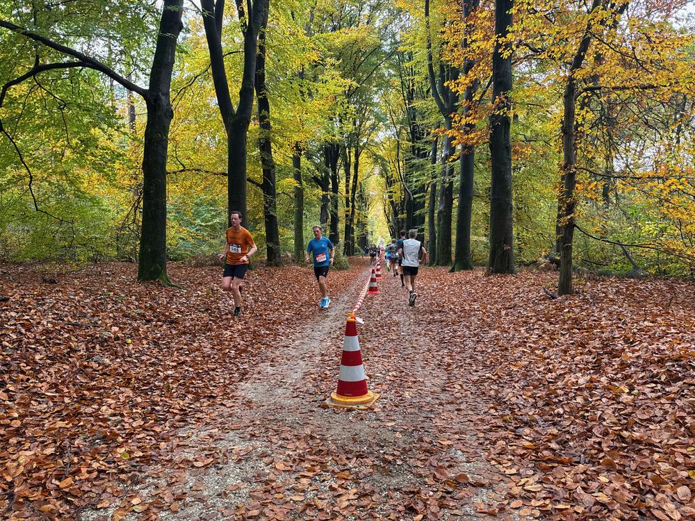 Pedaleurs-Bosloop-Ed.41-2025-EersteZondagVanNOV - 621.jpeg