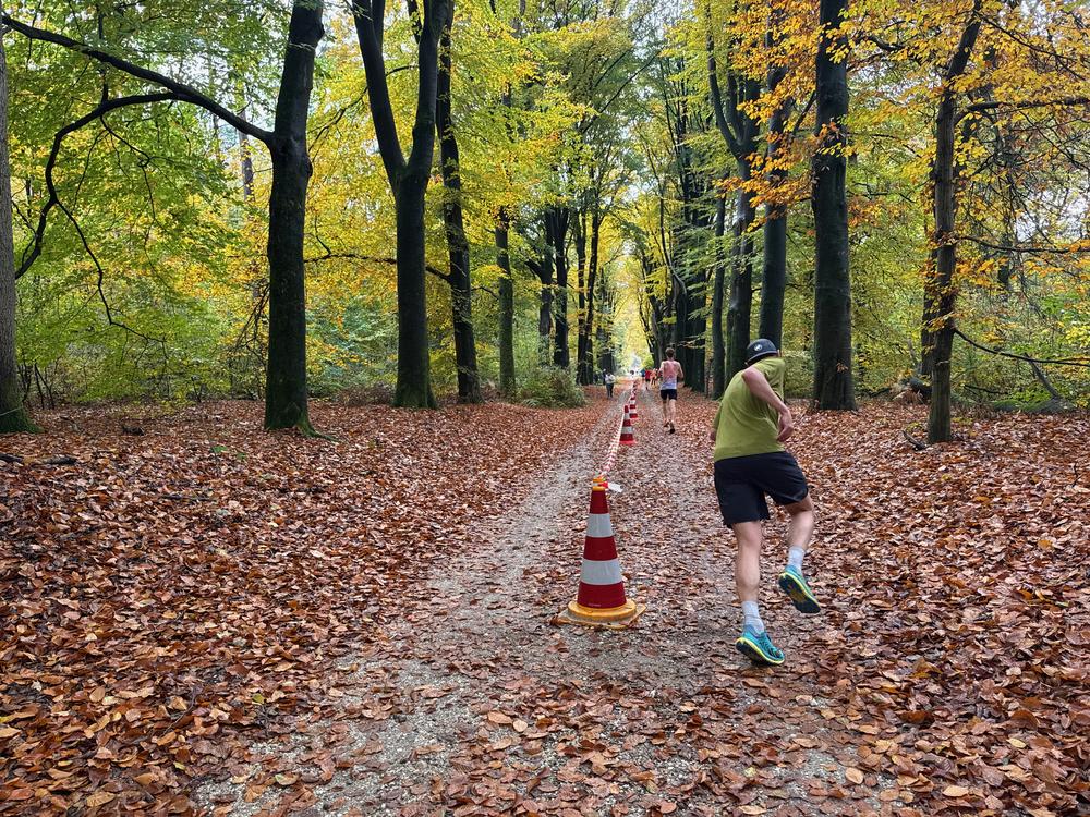Pedaleurs-Bosloop-Ed.41-2025-EersteZondagVanNOV - 480.jpeg