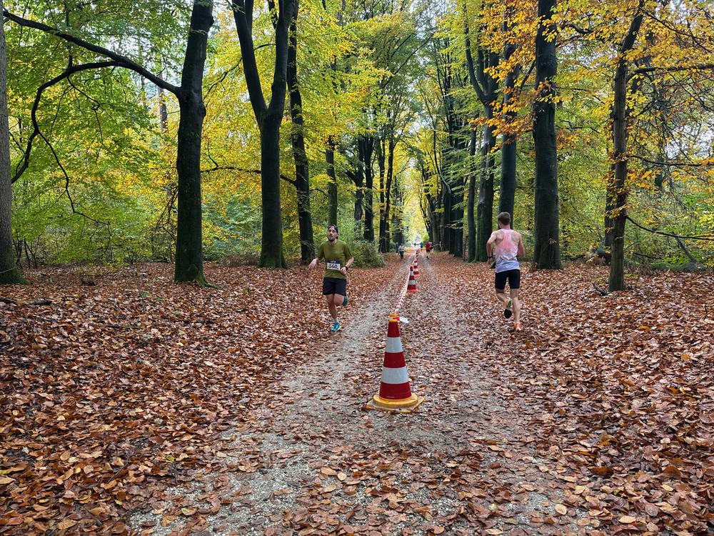 Pedaleurs-Bosloop-Ed.41-2025-EersteZondagVanNOV - 478.jpeg