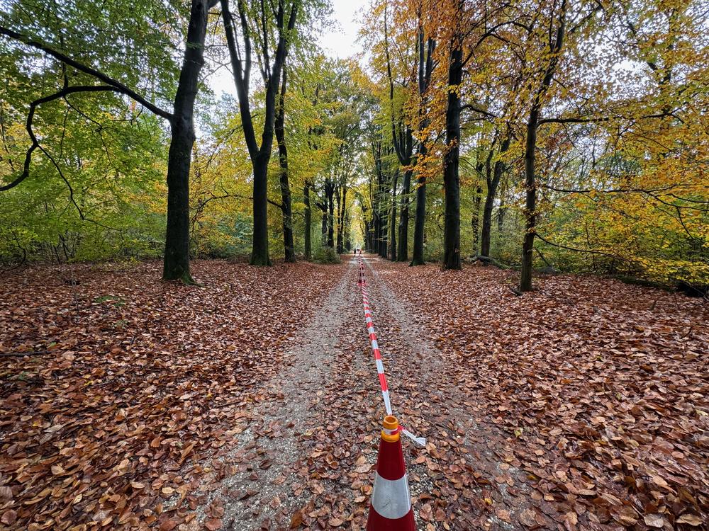 Pedaleurs-Bosloop-Ed.41-2025-EersteZondagVanNOV - 69.jpeg