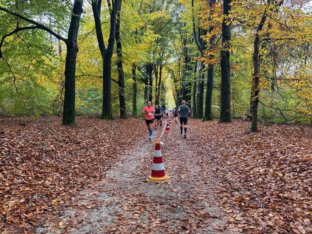 Pedaleurs-Bosloop-Ed.41-2025-EersteZondagVanNOV - 641.jpeg