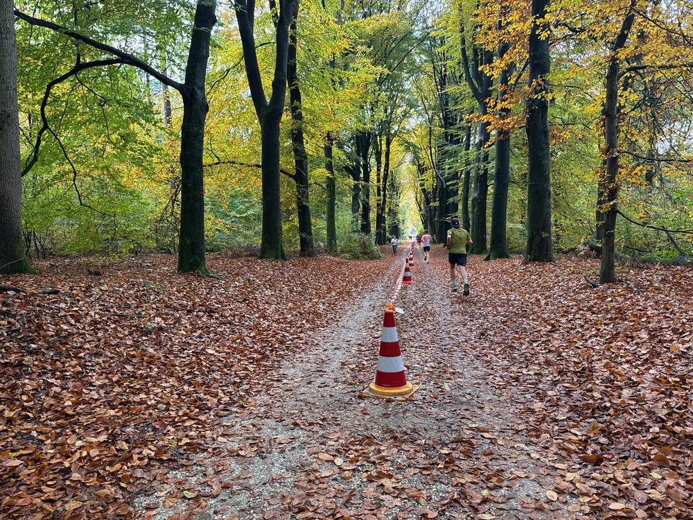 Pedaleurs-Bosloop-Ed.41-2025-EersteZondagVanNOV - 481.jpeg