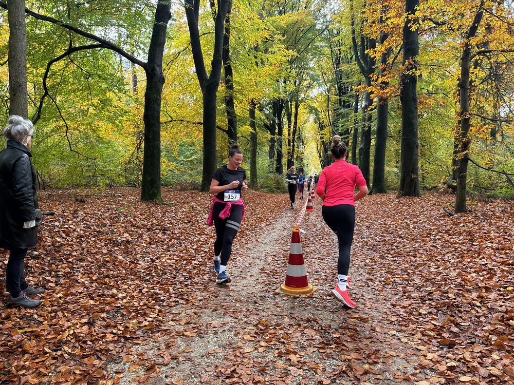 Pedaleurs-Bosloop-Ed.41-2025-EersteZondagVanNOV - 392.jpeg