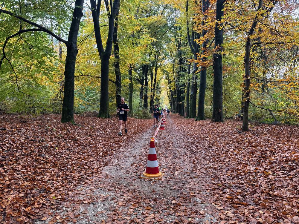 Pedaleurs-Bosloop-Ed.41-2025-EersteZondagVanNOV - 605.jpeg