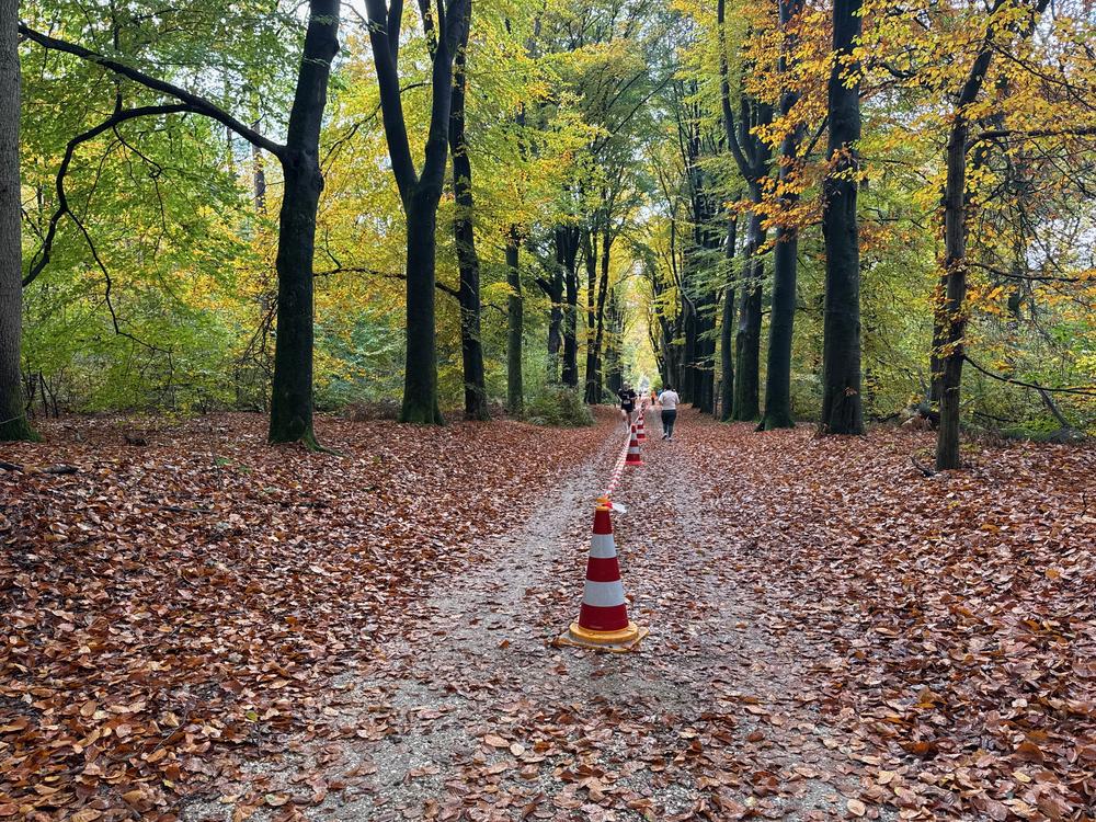 Pedaleurs-Bosloop-Ed.41-2025-EersteZondagVanNOV - 486.jpeg