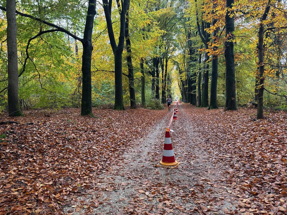 Pedaleurs-Bosloop-Ed.41-2025-EersteZondagVanNOV - 499.jpeg