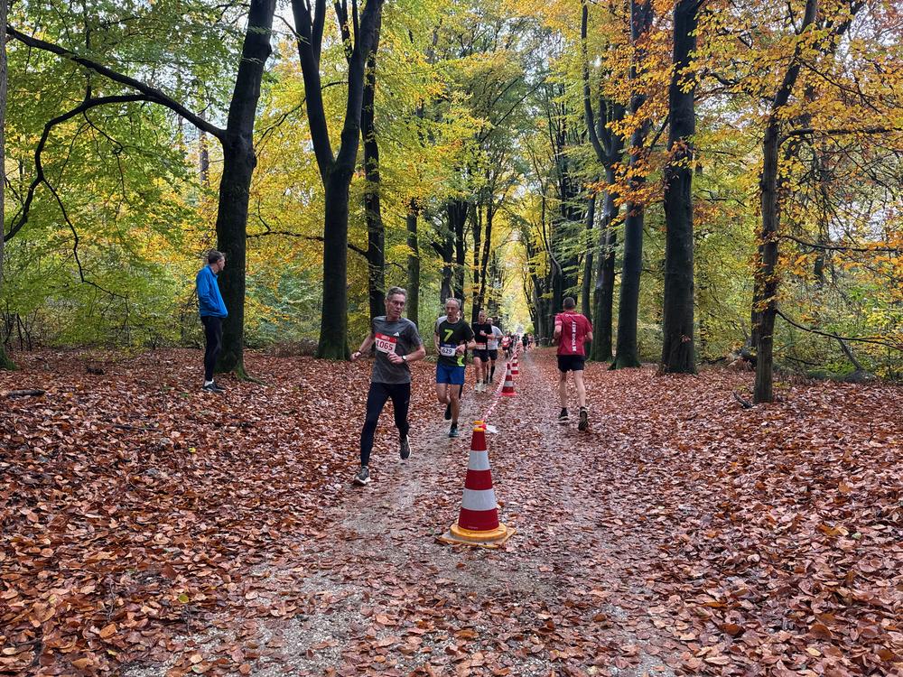 Pedaleurs-Bosloop-Ed.41-2025-EersteZondagVanNOV - 567.jpeg