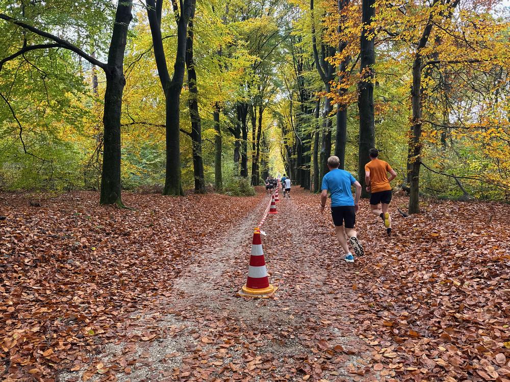 Pedaleurs-Bosloop-Ed.41-2025-EersteZondagVanNOV - 624.jpeg