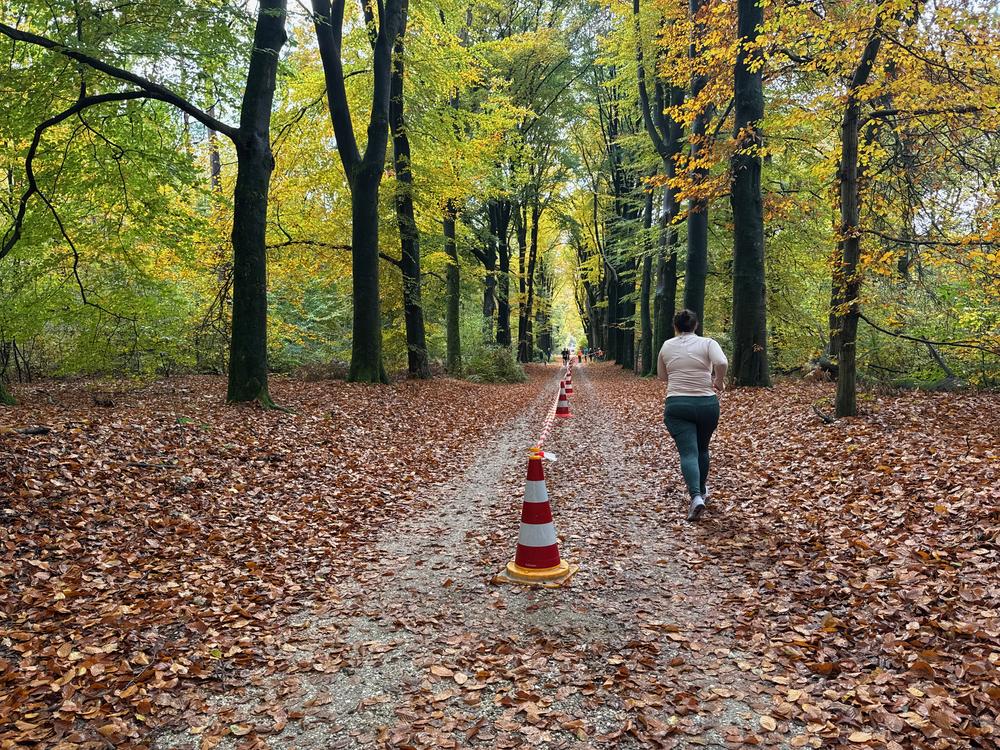 Pedaleurs-Bosloop-Ed.41-2025-EersteZondagVanNOV - 485.jpeg
