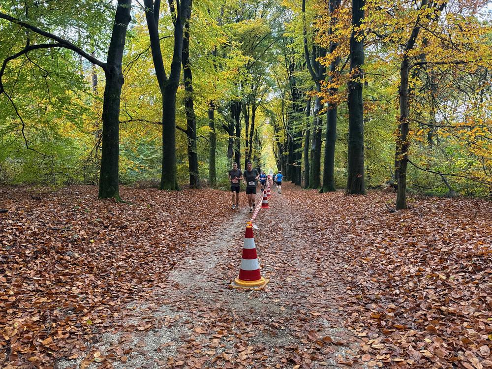 Pedaleurs-Bosloop-Ed.41-2025-EersteZondagVanNOV - 625.jpeg