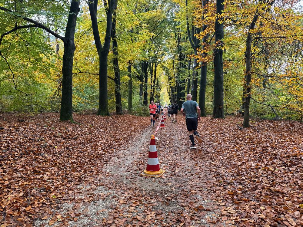 Pedaleurs-Bosloop-Ed.41-2025-EersteZondagVanNOV - 640.jpeg