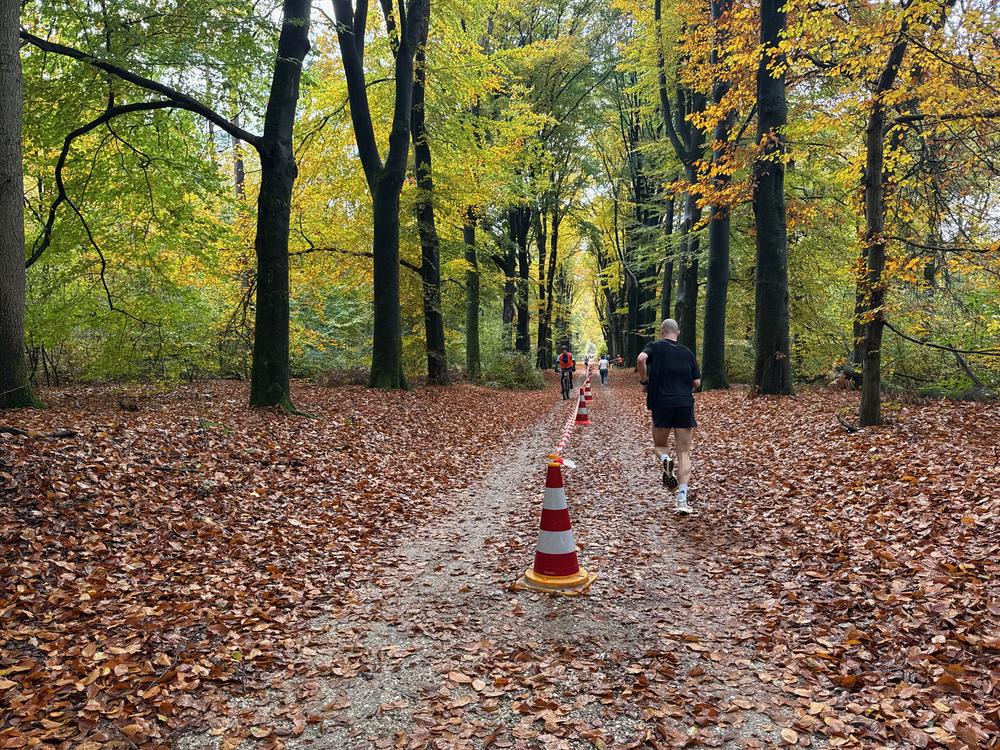 Pedaleurs-Bosloop-Ed.41-2025-EersteZondagVanNOV - 491.jpeg