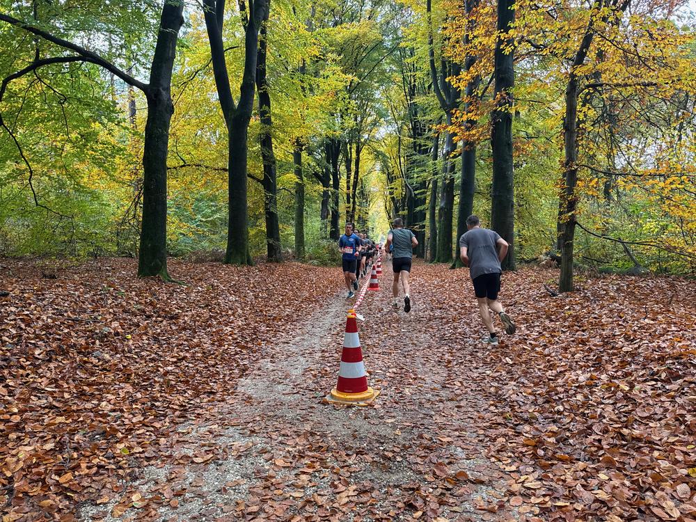 Pedaleurs-Bosloop-Ed.41-2025-EersteZondagVanNOV - 628.jpeg