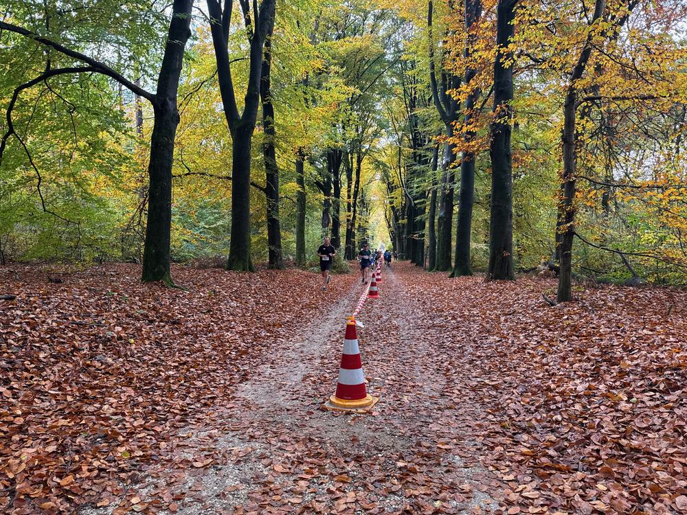Pedaleurs-Bosloop-Ed.41-2025-EersteZondagVanNOV - 604.jpeg
