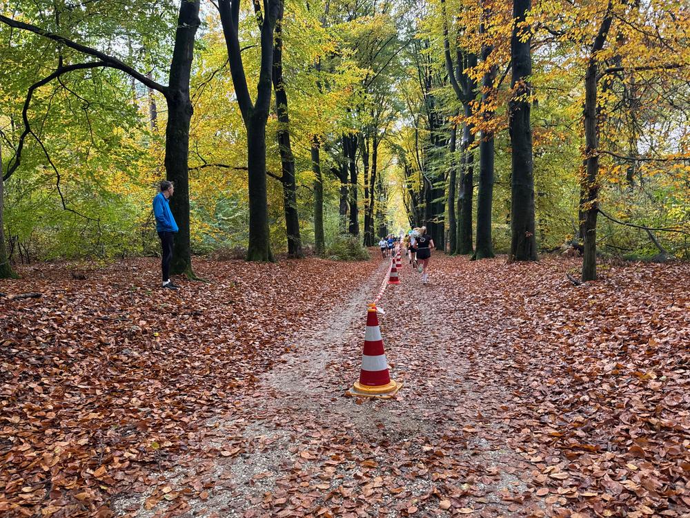 Pedaleurs-Bosloop-Ed.41-2025-EersteZondagVanNOV - 595.jpeg