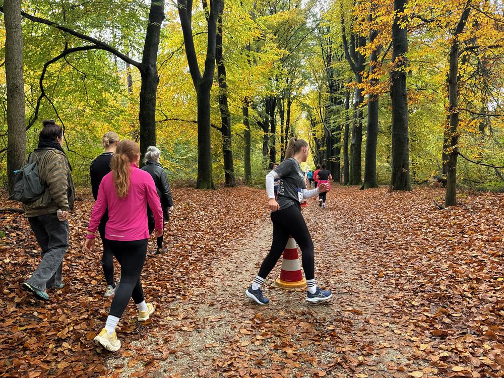 Pedaleurs-Bosloop-Ed.41-2025-EersteZondagVanNOV - 396.jpeg