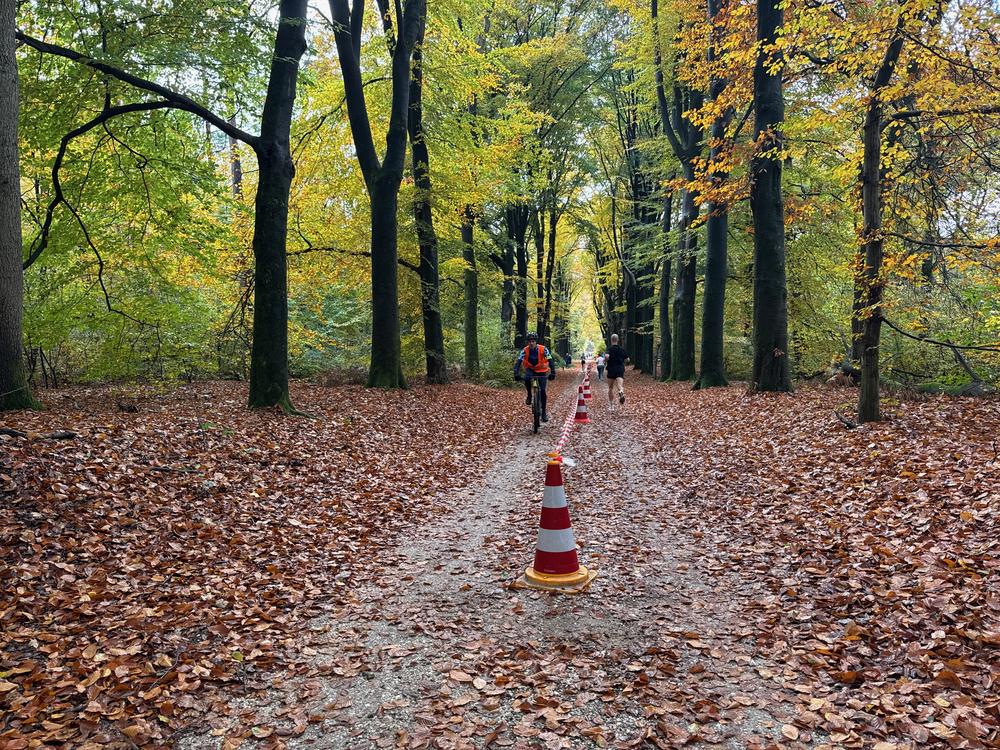 Pedaleurs-Bosloop-Ed.41-2025-EersteZondagVanNOV - 493.jpeg