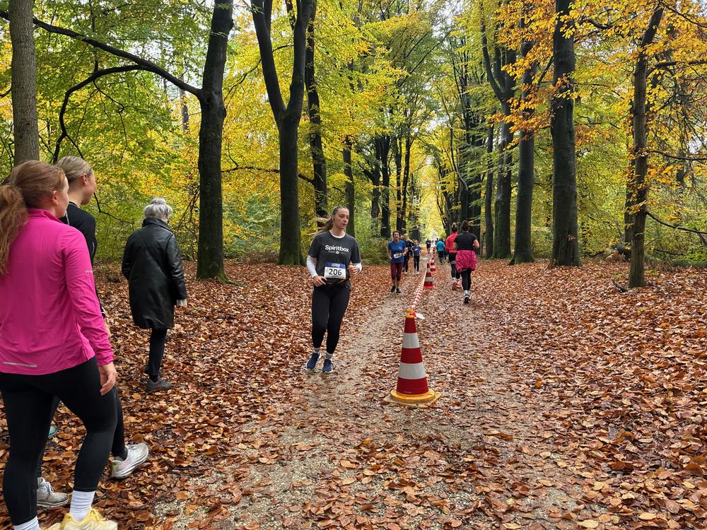 Pedaleurs-Bosloop-Ed.41-2025-EersteZondagVanNOV - 395.jpeg