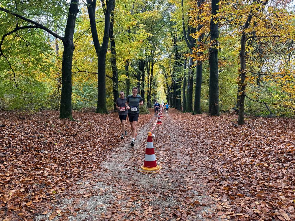 Pedaleurs-Bosloop-Ed.41-2025-EersteZondagVanNOV - 626.jpeg