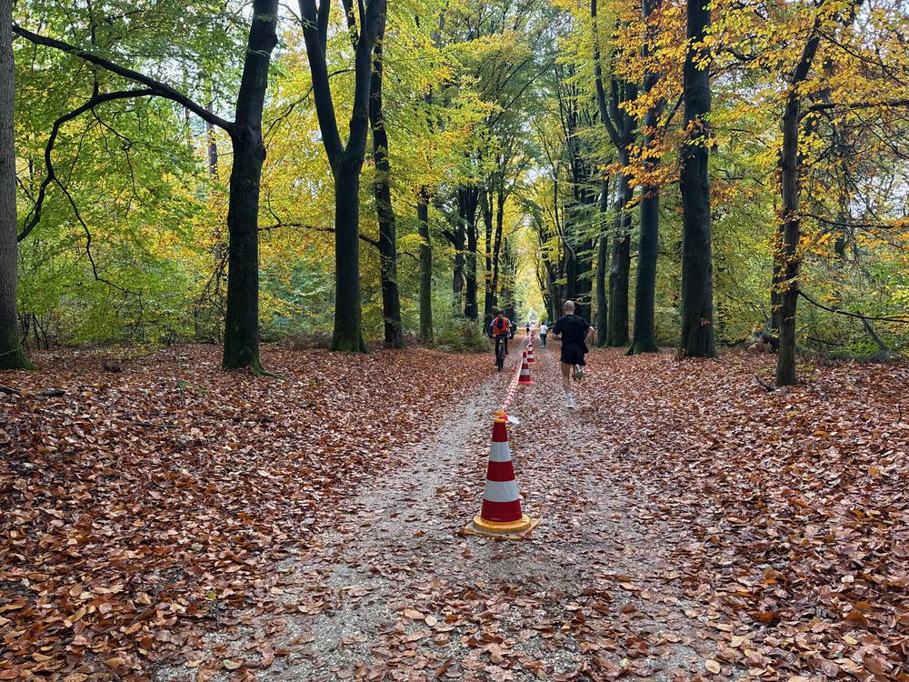 Pedaleurs-Bosloop-Ed.41-2025-EersteZondagVanNOV - 492.jpeg