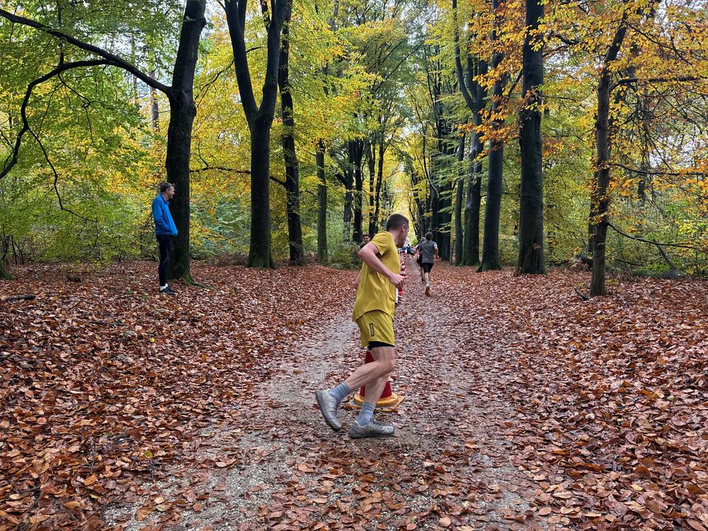 Pedaleurs-Bosloop-Ed.41-2025-EersteZondagVanNOV - 588.jpeg