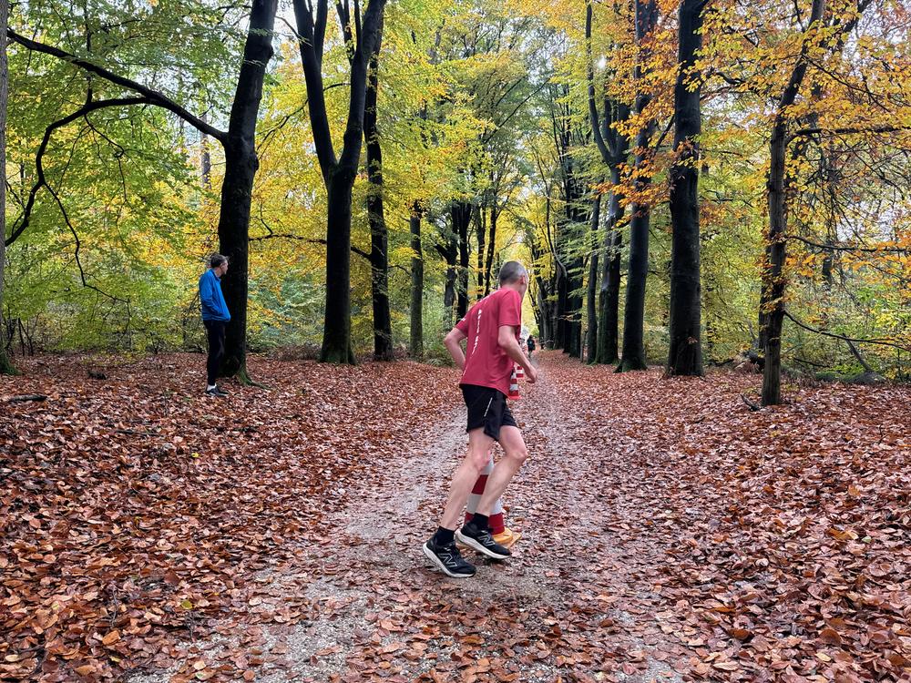 Pedaleurs-Bosloop-Ed.41-2025-EersteZondagVanNOV - 565.jpeg