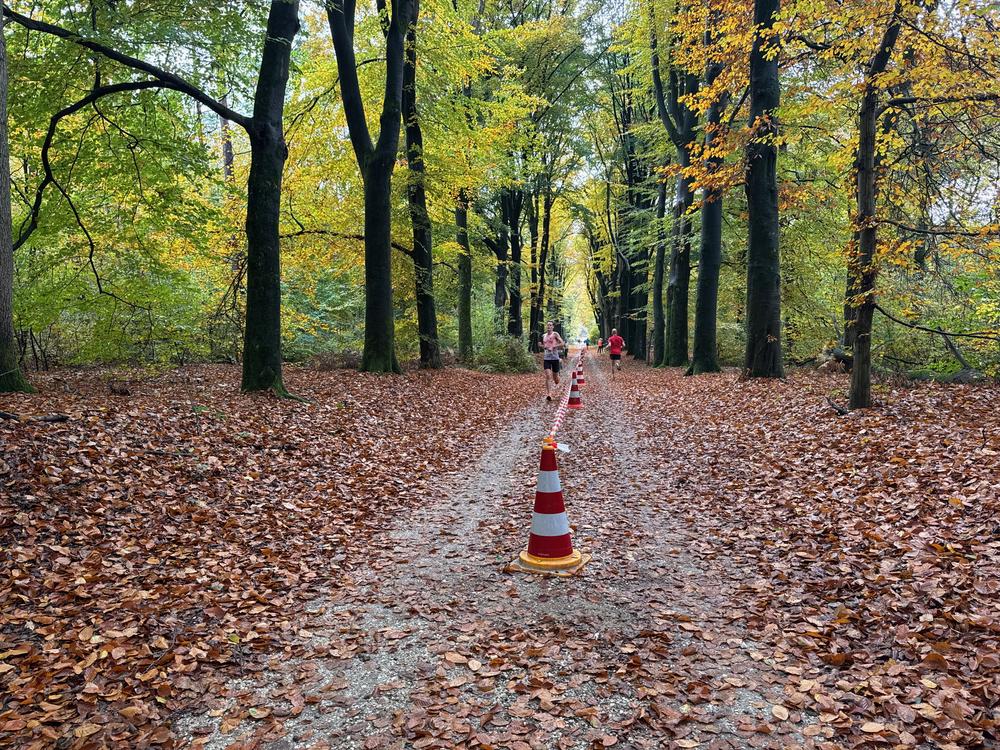 Pedaleurs-Bosloop-Ed.41-2025-EersteZondagVanNOV - 473.jpeg