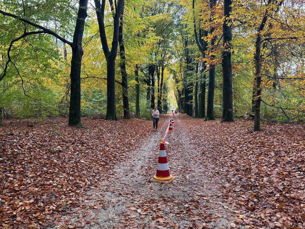 Pedaleurs-Bosloop-Ed.41-2025-EersteZondagVanNOV - 482.jpeg