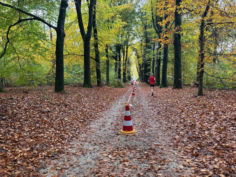 Pedaleurs-Bosloop-Ed.41-2025-EersteZondagVanNOV - 471.jpeg