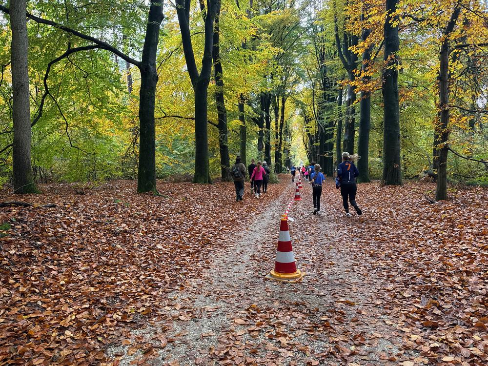 Pedaleurs-Bosloop-Ed.41-2025-EersteZondagVanNOV - 404.jpeg