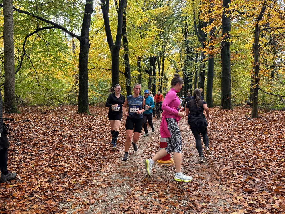 Pedaleurs-Bosloop-Ed.41-2025-EersteZondagVanNOV - 386.jpeg