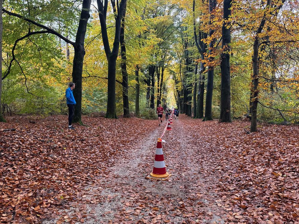 Pedaleurs-Bosloop-Ed.41-2025-EersteZondagVanNOV - 563.jpeg